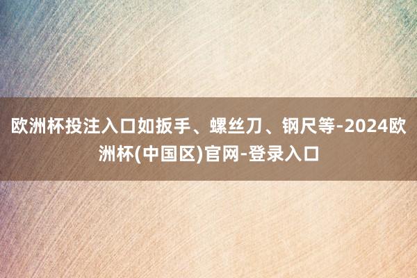 欧洲杯投注入口如扳手、螺丝刀、钢尺等-2024欧洲杯(中国区)官网-登录入口
