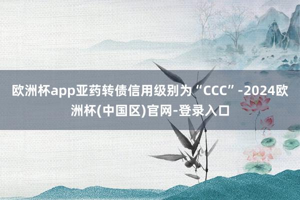 欧洲杯app亚药转债信用级别为“CCC”-2024欧洲杯(中国区)官网-登录入口