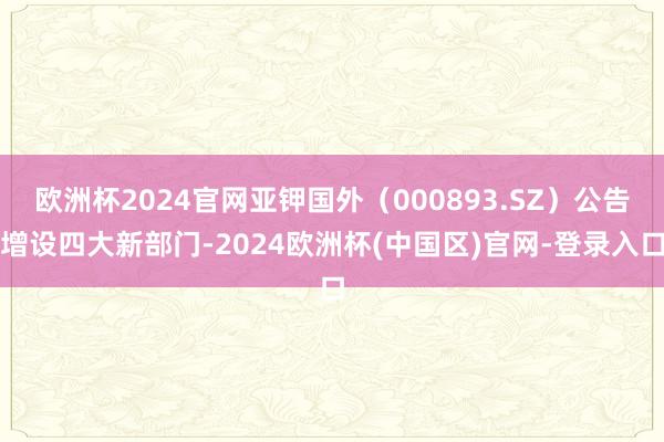 欧洲杯2024官网亚钾国外（000893.SZ）公告增设四大新部门-2024欧洲杯(中国区)官网-登录入口