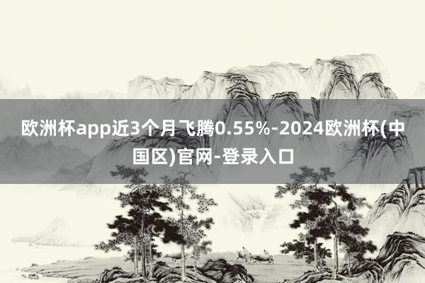 欧洲杯app近3个月飞腾0.55%-2024欧洲杯(中国区)官网-登录入口