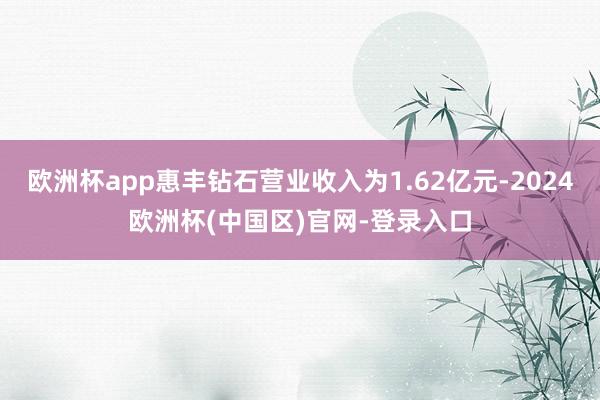 欧洲杯app惠丰钻石营业收入为1.62亿元-2024欧洲杯(中国区)官网-登录入口