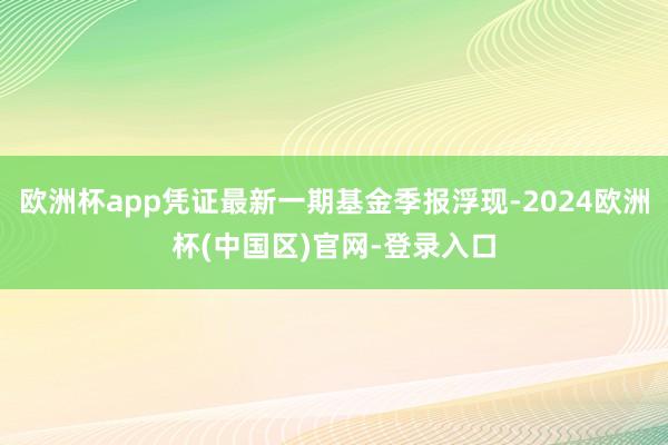 欧洲杯app凭证最新一期基金季报浮现-2024欧洲杯(中国区)官网-登录入口
