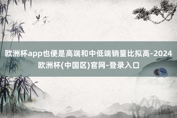 欧洲杯app也便是高端和中低端销量比拟高-2024欧洲杯(中国区)官网-登录入口