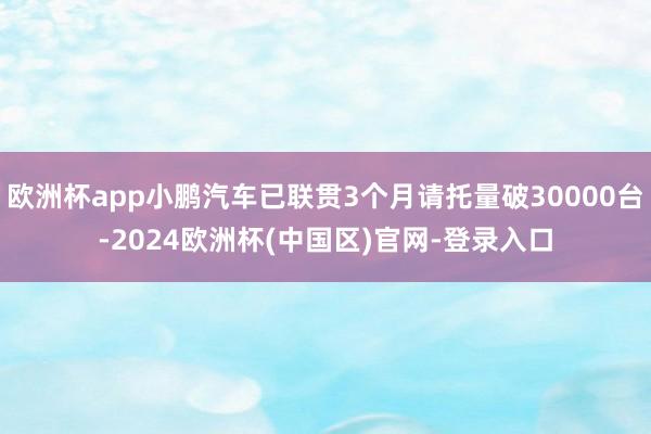 欧洲杯app小鹏汽车已联贯3个月请托量破30000台-2024欧洲杯(中国区)官网-登录入口