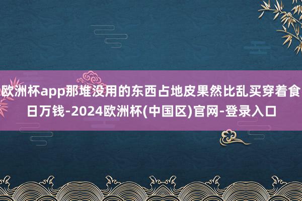 欧洲杯app那堆没用的东西占地皮果然比乱买穿着食日万钱-2024欧洲杯(中国区)官网-登录入口