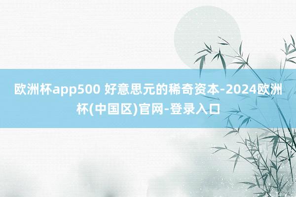 欧洲杯app500 好意思元的稀奇资本-2024欧洲杯(中国区)官网-登录入口
