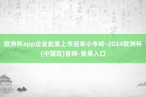 欧洲杯app企业赴港上市迎来小岑岭-2024欧洲杯(中国区)官网-登录入口
