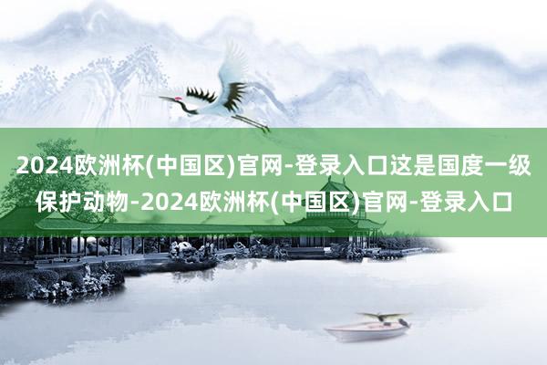 2024欧洲杯(中国区)官网-登录入口这是国度一级保护动物-2024欧洲杯(中国区)官网-登录入口