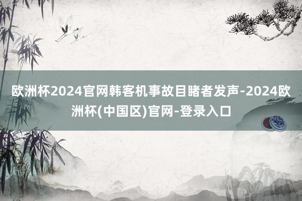 欧洲杯2024官网韩客机事故目睹者发声-2024欧洲杯(中国区)官网-登录入口