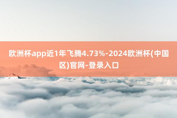 欧洲杯app近1年飞腾4.73%-2024欧洲杯(中国区)官网-登录入口