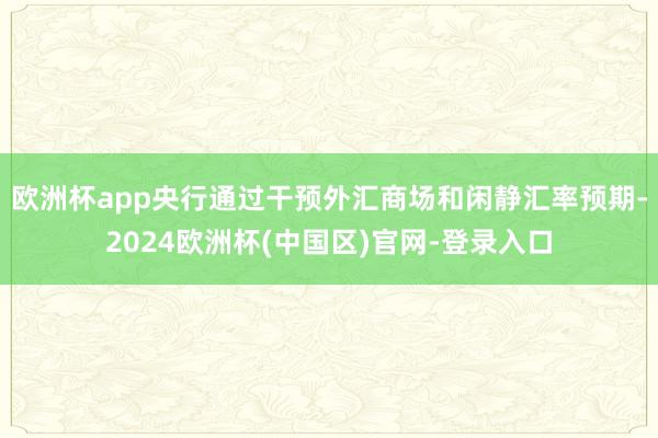 欧洲杯app央行通过干预外汇商场和闲静汇率预期-2024欧洲杯(中国区)官网-登录入口