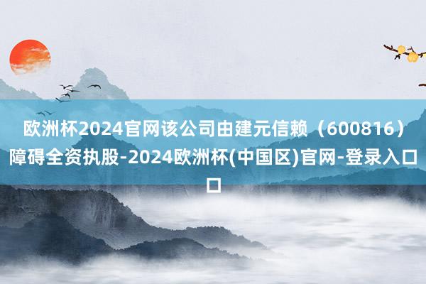 欧洲杯2024官网该公司由建元信赖（600816）障碍全资执股-2024欧洲杯(中国区)官网-登录入口