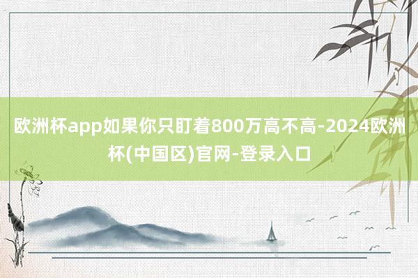 欧洲杯app如果你只盯着800万高不高-2024欧洲杯(中国区)官网-登录入口