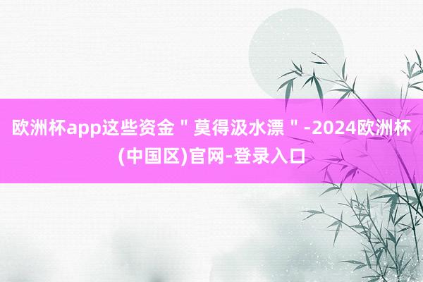 欧洲杯app这些资金"莫得汲水漂"-2024欧洲杯(中国区)官网-登录入口