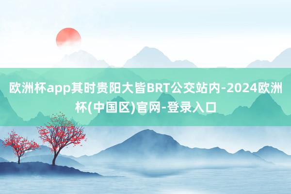 欧洲杯app其时贵阳大皆BRT公交站内-2024欧洲杯(中国区)官网-登录入口