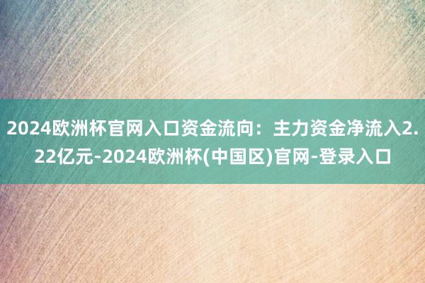 2024欧洲杯官网入口资金流向：主力资金净流入2.22亿元-2024欧洲杯(中国区)官网-登录入口