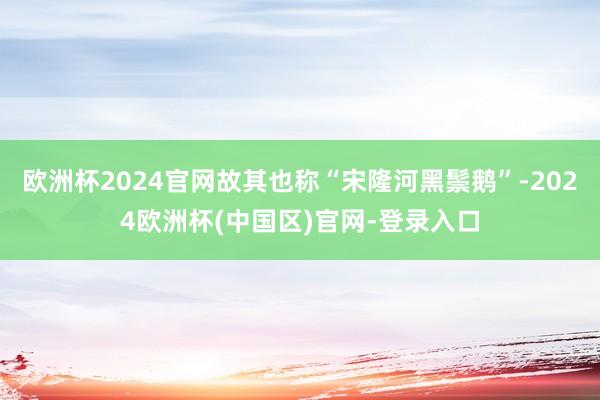 欧洲杯2024官网故其也称“宋隆河黑鬃鹅”-2024欧洲杯(中国区)官网-登录入口