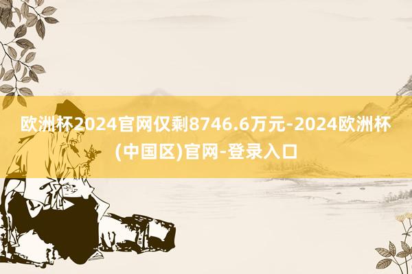 欧洲杯2024官网仅剩8746.6万元-2024欧洲杯(中国区)官网-登录入口